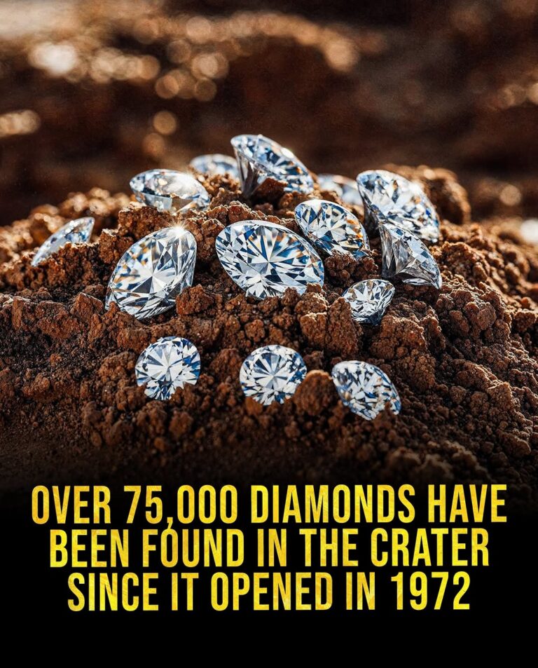 Snapinst.app_482326056_18158329912352449_4841864712274855414_n_1080-768x953 Unearth Hidden Treasures at Crater of Diamonds State Park: The World’s Only Public Diamond Mine!