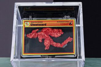 Cheetozard: Flamin' Hot Cheeto resembling Charizard, a rare snack collectible.