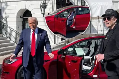 Trump Tesla Purchase: Image of a Tesla model at the White House with Trump and Musk.